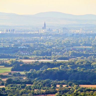 Weitblick auf das Straßburger Münster von Durbach aus