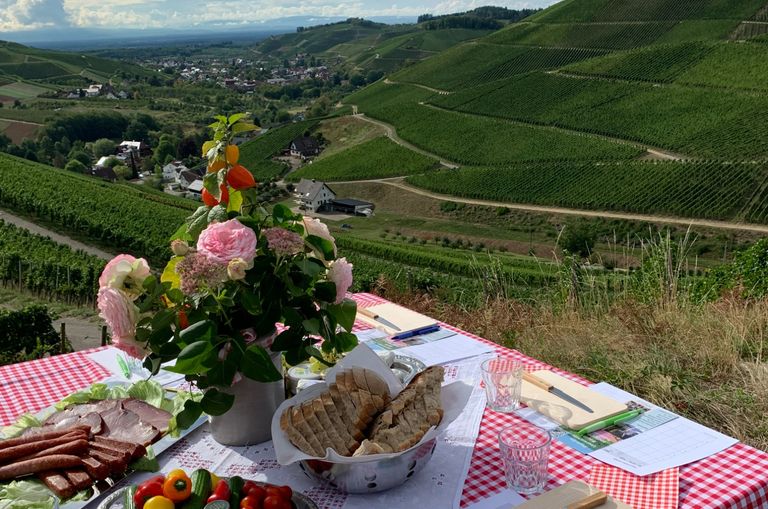 Privater Rastplatz im Wald, das private Plätzchen zum Schwätzen