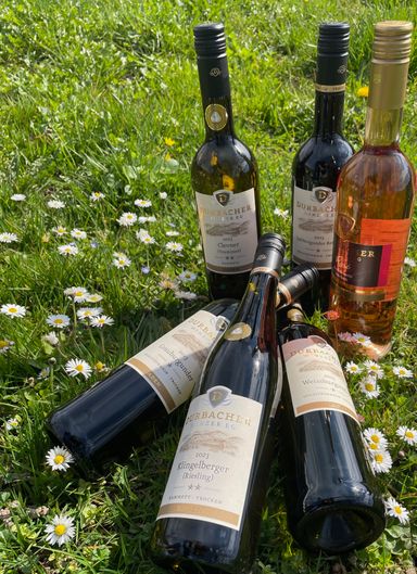 Weinprobe der Steillagen Spezialisten Durbach